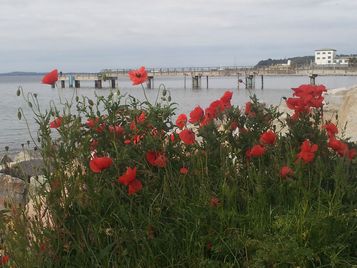 Urlaub auf Rügen, Ferienwohnung in Sassnitz