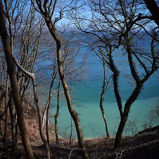 Urlaub auf Rügen, Ferienwohnung in Sassnitz