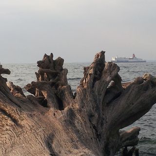 Urlaub auf Rügen, Ferienwohnung in Sassnitz