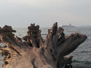 Urlaub auf Rügen, Ferienwohnung in Sassnitz