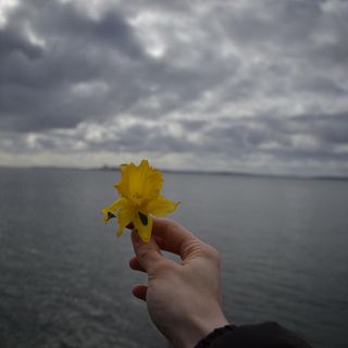 Urlaub auf Rügen, Ferienwohnung in Sassnitz
