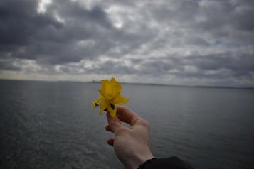 Urlaub auf Rügen, Ferienwohnung in Sassnitz