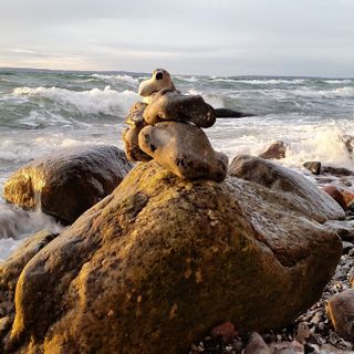 Urlaub auf Rügen, Ferienwohnung in Sassnitz