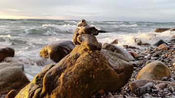 Urlaub auf Rügen, Ferienwohnung in Sassnitz