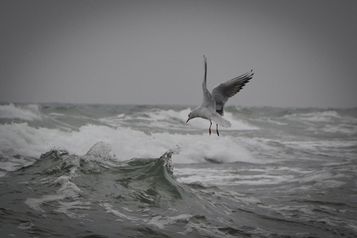 Urlaub auf Rügen, Ferienwohnung in Sassnitz